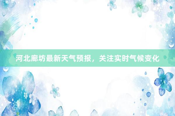 河北廊坊最新天气预报，关注实时气候变化