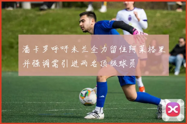 潘卡罗呼吁米兰全力留住阿莱格里并强调需引进两名顶级球员